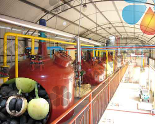 Machines de raffinage de l’huile microbienne
