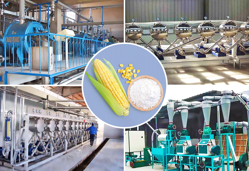Machine à amidon de maïs / Ligne de transformation de l'amidon de maïs
