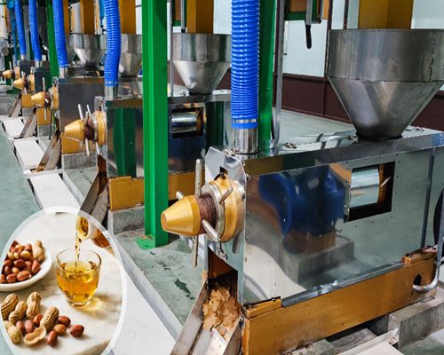 Machine à presser l’huile d’arachide / Presse à huile d’arachide