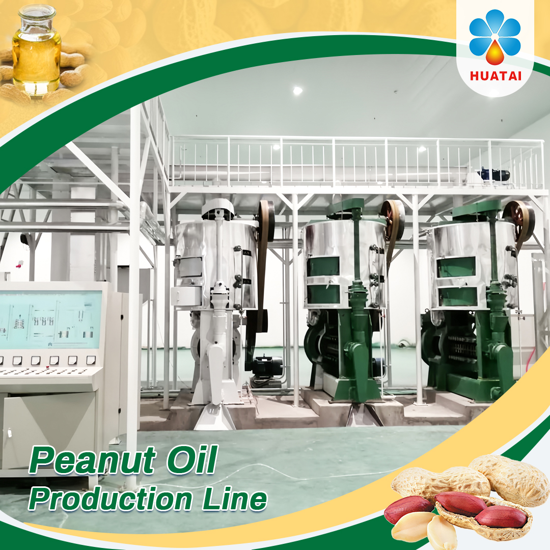 Machine à presser l'huile d'arachide / Presse à huile d'arachide