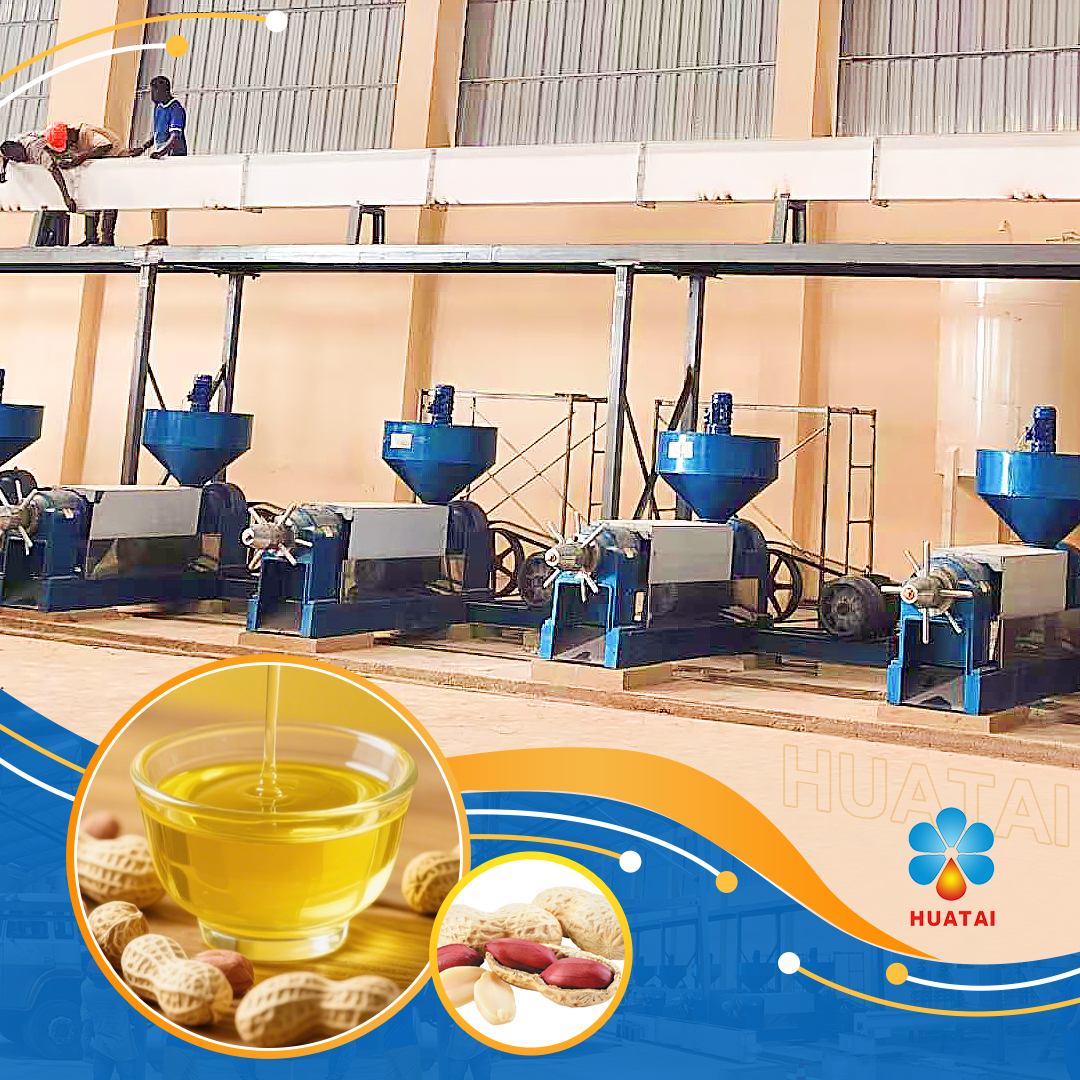 Machine à presser l'huile d'arachide / Presse à huile d'arachide