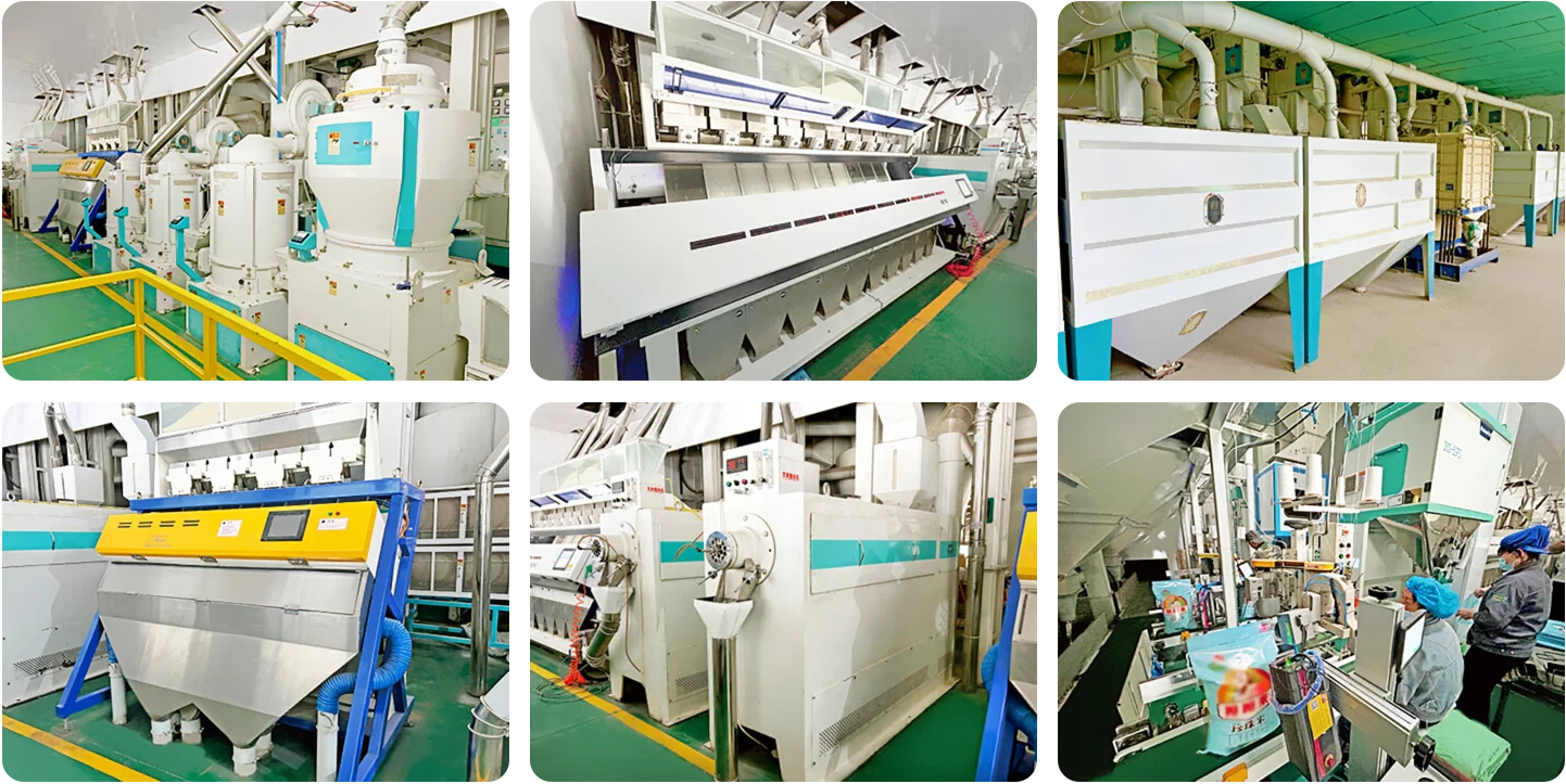 Machine de traitement de riz / Usine de transformation du riz