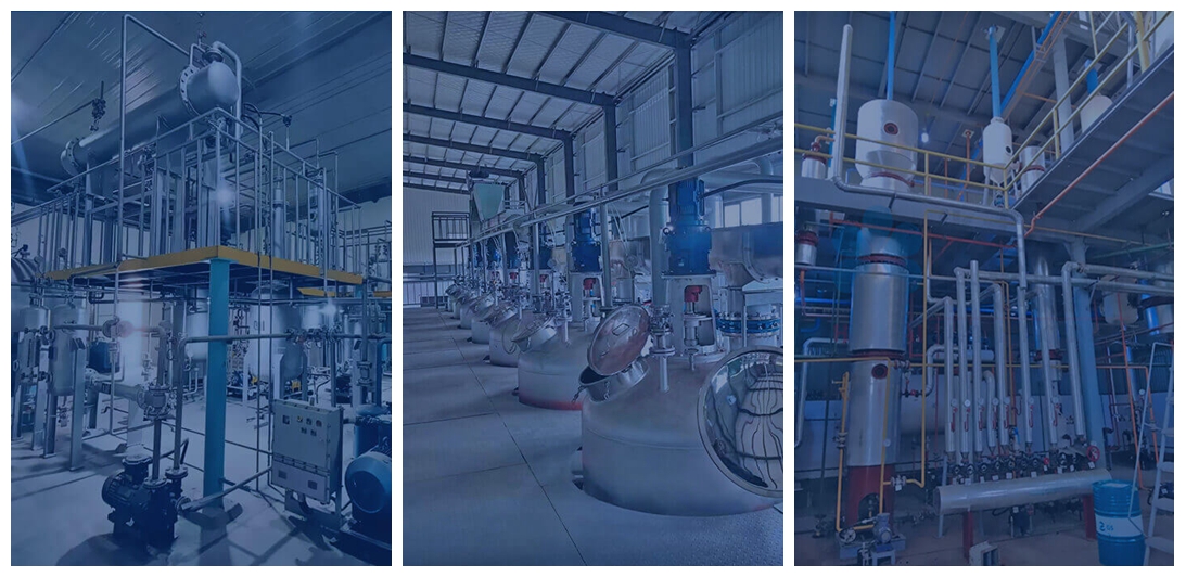 Machines de raffinage d'huile de palme