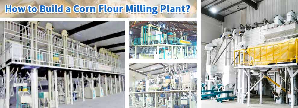 Machine à farine de maïs / Ligne de production de broyage de maïs