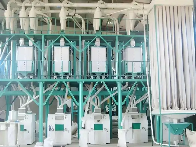 La division des équipements de transformation des minoteries de blé propose des appareils et équipements autonomes permettant de produire simultanément de la farine spéciale, de la farine standard et de la poudre de marquage. Les installations d'une capacité supérieure à 200 tonnes peuvent produire toutes sortes de farines pour répondre aux besoins de l'industrie alimentaire.
Le processus de mouture du blé exploite principalement la différence de résistance entre l'endosperme et le cortex, en utilisant des équipements de broyage, de tamisage et de purification de la farine pour séparer le cortex, le germe et l'endosperme du blé, et transformer l'endosperme en farine d'une certaine finesse, tout en isolant les sous-produits.
Les équipements de mouture de blé fabriqués par Huatai intègrent des technologies de pointe étrangères et présentent les avantages suivants : rendement élevé, farine de bonne qualité, faible teneur en cendres et faible consommation d'énergie.
Le procédé de nettoyage du blé, qui utilise trois tamis et deux douzaines de meules, comprend un lavage du blé, un broyage entre les meules pour séparer le son et le germe, une classification par tamisage de la peau extérieure et un broyage assisté par les dernières technologies pour obtenir une poudre fine. Il se caractérise par une faible consommation d'énergie, une structure rationnelle et une technologie de pointe plébiscitée par les clients !
Cet équipement représente un faible investissement, offre un haut degré d'automatisation, des performances stables, une rapidité d'exécution, une faible consommation d'énergie et une grande efficacité. Plusieurs modèles sont disponibles pour répondre aux besoins des clients.