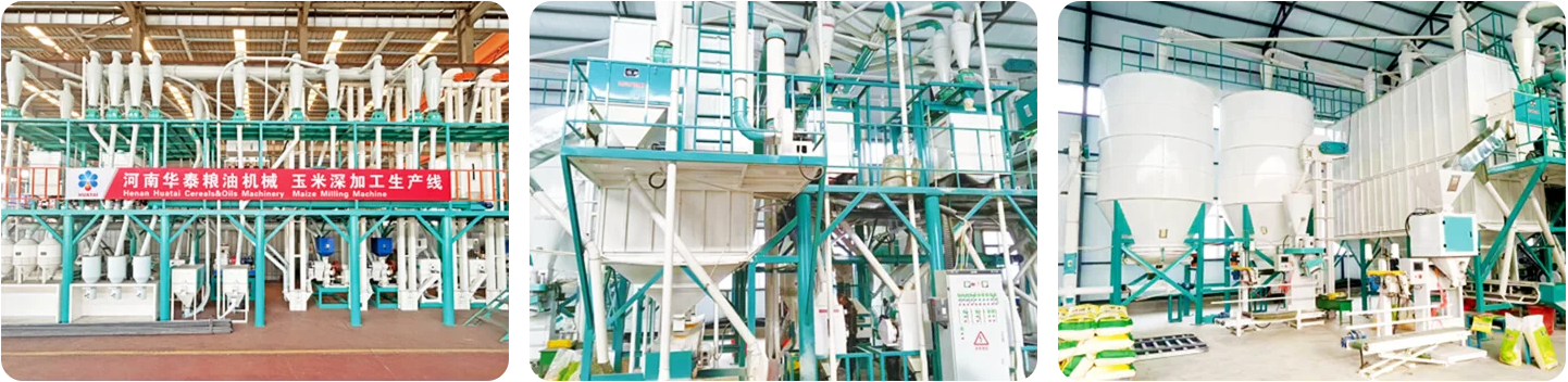 Machine à farine de maïs / Ligne de production de broyage de maïs