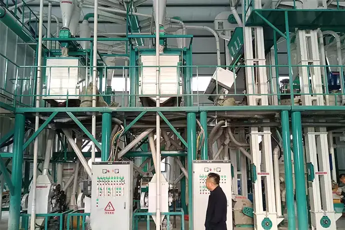 Machine à farine de maïs / Ligne de production de broyage de maïs