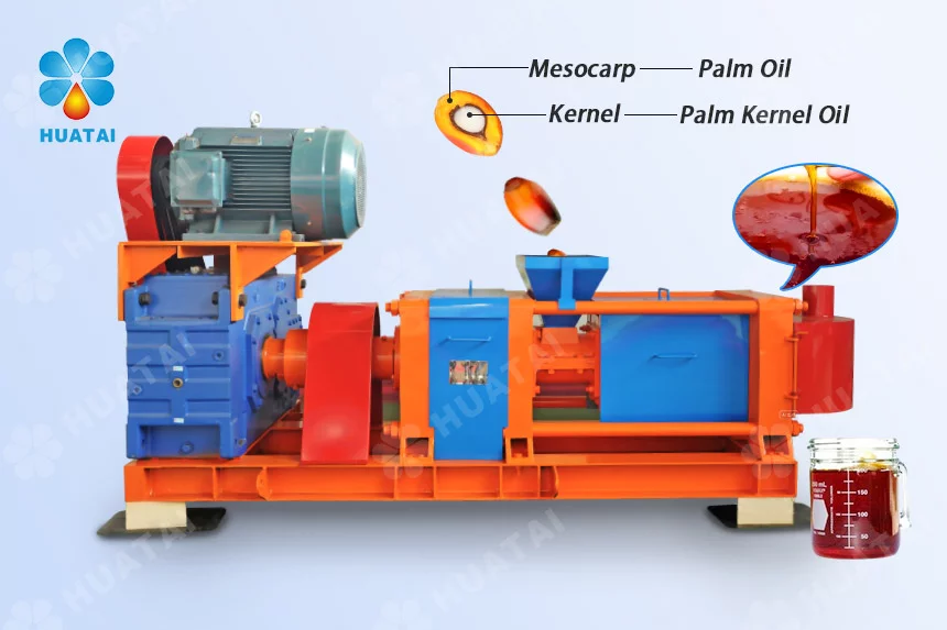 Ligne de production d'huile de palme