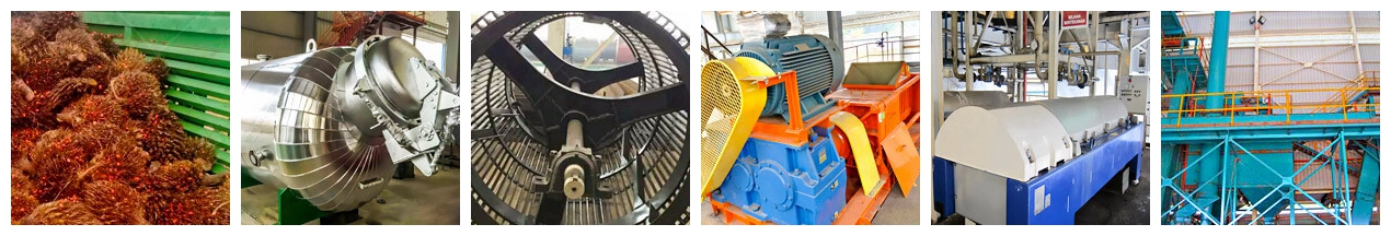 Machine d'extraction d'huile de palme / Machine à presser l'huile de palme