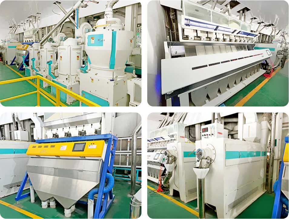 Machine de traitement de riz / Usine de transformation du riz