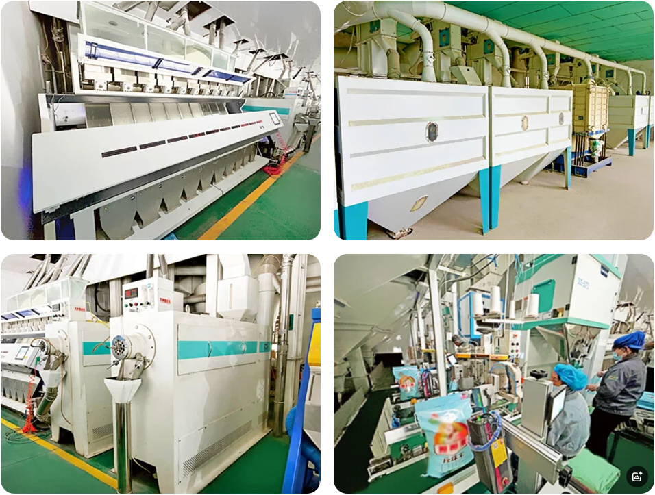 Machine de traitement de riz / Usine de transformation du riz