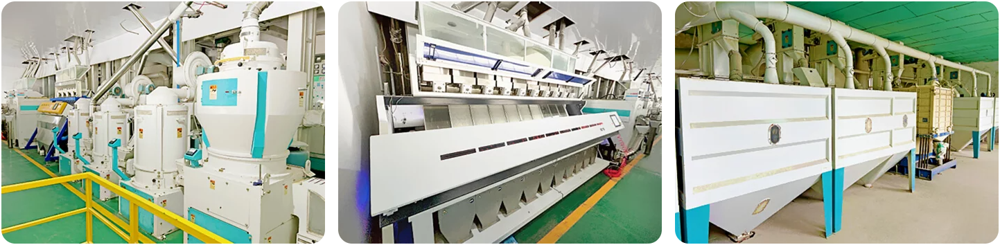 Machine de traitement de riz / Usine de transformation du riz