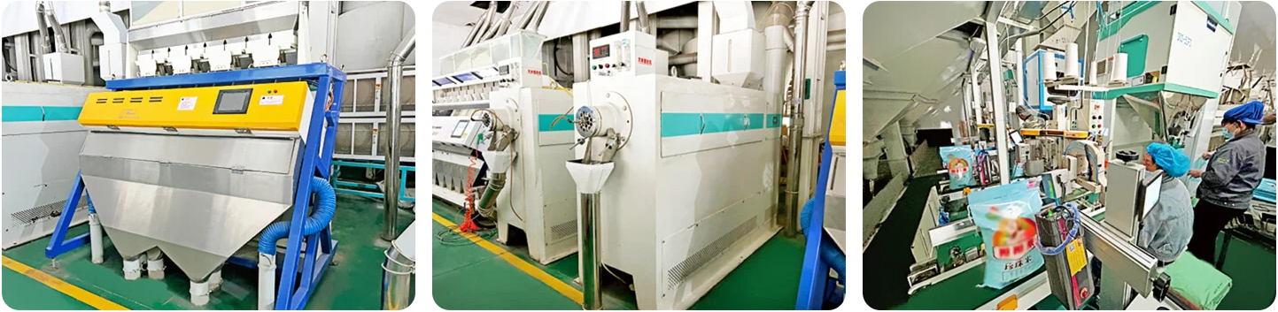 Machine de traitement de riz / Usine de transformation du riz