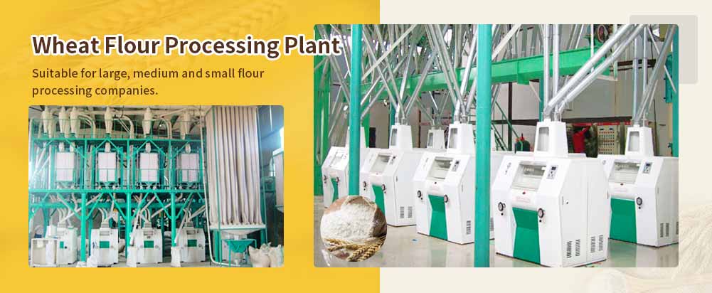 Machines de mouture de farine de blé / Usine de transformation de farine de blé