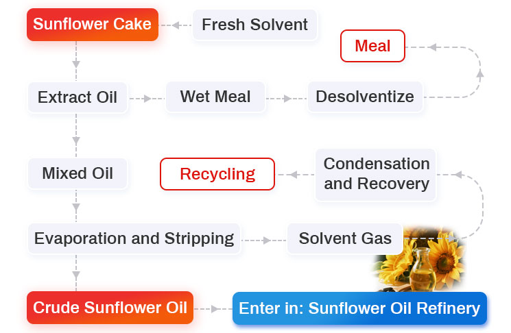 Sunflower Oil Extraction Section