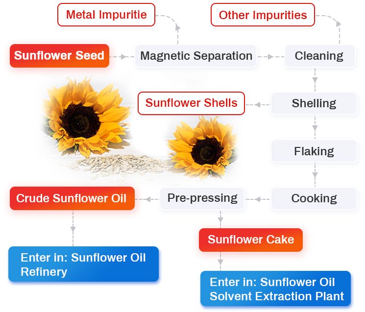Sunflower Oil Pretreatment Section