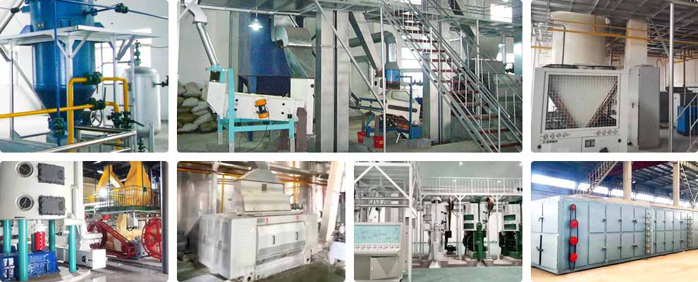 Machine à presser l'huile de soja / Usine de pressage d'huile de soja