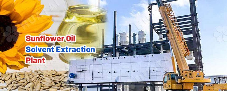 Installation d’extraction par solvant de l’huile de tournesol