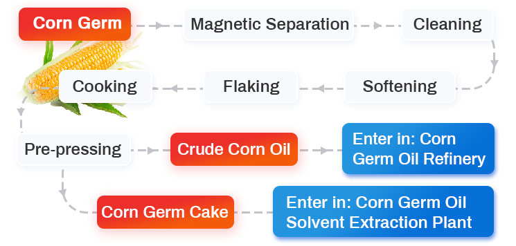 Ligne de production d'huile de germe de maïs