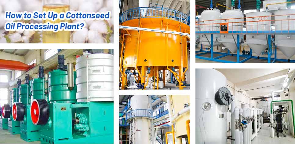 Ligne de production d'huile de coton