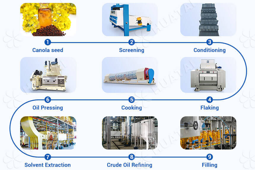 Ligne de production d'huile de colza