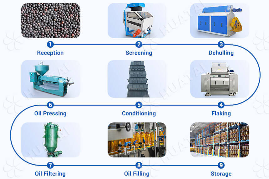 Ligne de production d'huile de colza