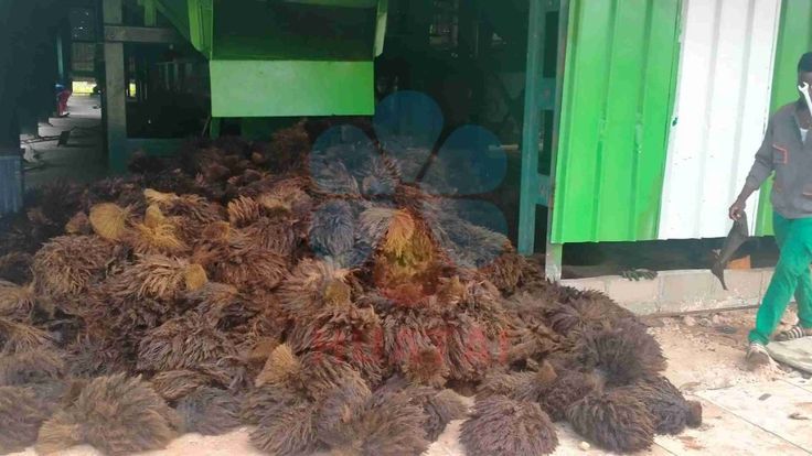 Usine d'extraction d'huile de fruits de palmier de 6T/H par HUATAI expédiée en Côte d'Ivoire